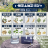D'REVIVER 植萃激活養髮精華草本成分